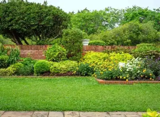 landscaping services Charleston